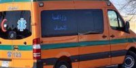 مصرع طالب بكلية الطب في انقلاب سيارة بطريق الفيوم – بني سويف الصحراوي - هرم مصر