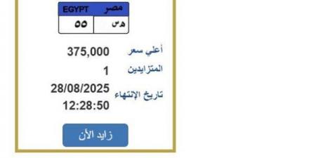 سعرها وصل 375 ألف جنيه.. خطوات التزايد على لوحة سيارة مميزة - هرم مصر