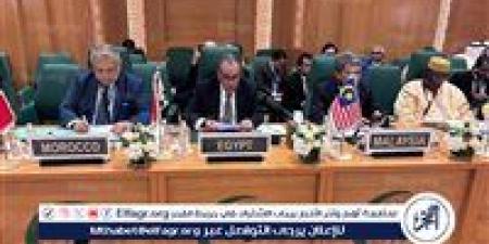 وزير الخارجية يشارك باجتماع التعاون الإسلامي لبحث عدوان إسرائيل - هرم مصر