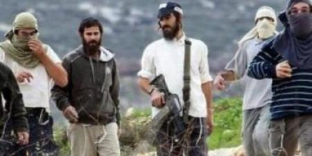 مستعمرون ينصبون عشرات "الكرفانات" شرق مدينة الخليل الفلسطينية - هرم مصر