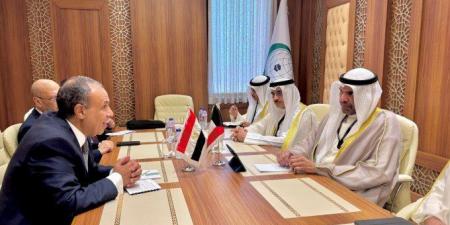 مصر و الكويت تبحثان سبل تعزيز العلاقات الثنائية بين البلدين - هرم مصر