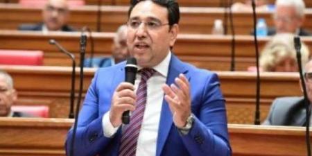 محسب: المصريون بالخارج دائما يلبون نداء الوطن في الاستحقاقات الدستورية - هرم مصر