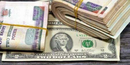 سعر الدولار الاثنين في البنوك المصرية مقابل الجنيه.. مؤشرات بداية التعاملات - هرم مصر