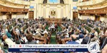 كيف عرف قانون الرياضة الجديد الهيئة الرياضية وشركة الخدمات الرياضية؟ - هرم مصر