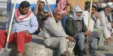 موعد صرف منحة العمالة غير المنتظمة بمناسبة المولد النبوي 2025 - هرم مصر