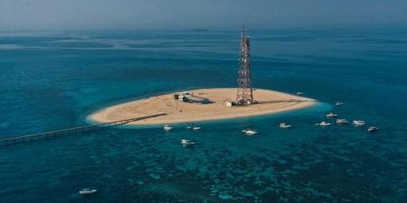 «البلدية»: 5000 كيس حصيلة جمع نفايات الجزر ضمن حملة «شواطئنا جميلة» - هرم مصر