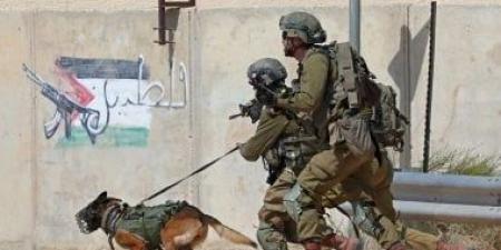 إصابة 58 فلسطينيا خلال اقتحام الاحتلال الإسرائيلي مدينتي رام الله والبيرة - هرم مصر