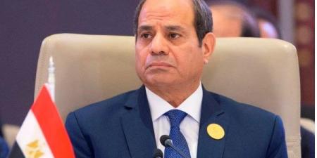 كل ما تريد معرفته عن قانون ملكية الدولة في الشركات العامة والمختلطة - هرم مصر
