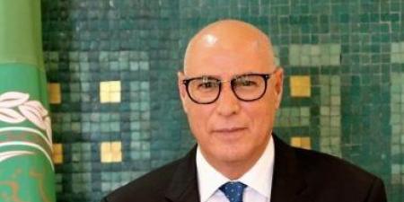 الجامعة العربية: استهداف الصحفيين الفلسطينيين جريمة مروعة - هرم مصر