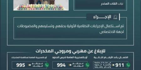 حرس الحدود بجازان يقبض على 4 مخالفين لنظام أمن الحدود لتهريبهم 72 كيلوجرامًا من نبات القات المخدر - هرم مصر