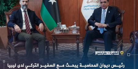 شكشك يبحث مع السفير التركي التعاون الرقابي ومتابعة المشاريع الاقتصادية - هرم مصر