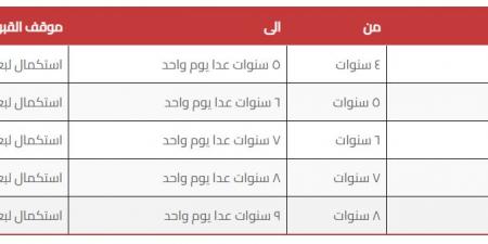 وصول 14 خبيرا يابانياً للمشاركة في إدارة وتشغيل المدارس المصرية اليابانية - هرم مصر