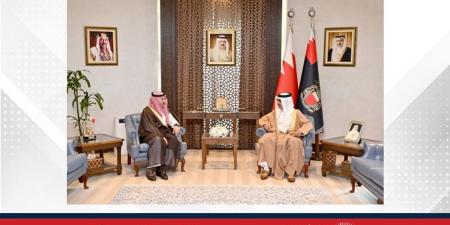 وزير الداخلية يبحث مع السفير السعودي مجالات التعاون والتنسيق الأمني - هرم مصر
