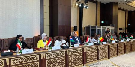 نائب وزير الزراعة يشارك في اجتماع مجموعات التشاور الإقليمي ال3 بق - هرم مصر