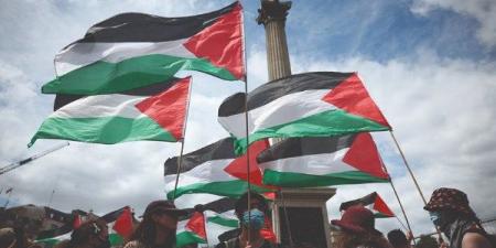 أستاذ علوم سياسية: اعتراف دول أوروبية بفلسطين خطوة إيجابية تؤثر في الموقف الدولي - هرم مصر