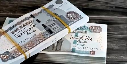 تعرف على آلية دفع الأجور في قانون العمل الجديد.. حماية للعامل عند انتهاء الخدمة - هرم مصر