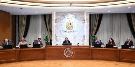 الوزراء يُدين اعتداء الاحتلال الإسرائيلي السافر على دولة قطر - هرم مصر