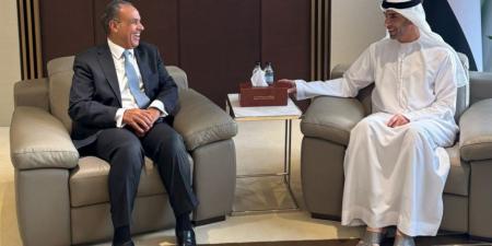 وزير الخارجية يلتقي وزير التجارة الخارجية بدولة الإمارات العربية المتحدة - هرم مصر