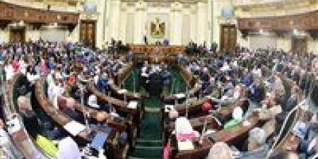 برلمانية: مسمعناش عن مستشفى استقبل مريض بالطوارئ بالمجان منذ 2014 - هرم مصر