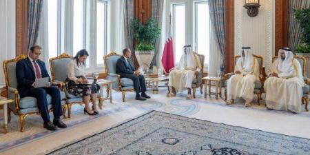 مصر.. وزير الخارجية ينقل رسالة تضامن ودعم من الرئيس السيسي إلى أمير دولة قطر - هرم مصر