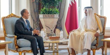 أمير قطر يُعرب عن اعتزازه بالموقف المصري الداعم لبلاده - هرم مصر
