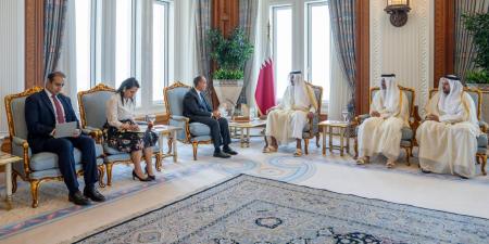 وزير الخارجية ينقل رسالة تضامن ودعم من فخامة الرئيس الي أخيه سمو الشيخ تميم بن حمد آل ثاني امير دولة قطر الشقيقة - هرم مصر