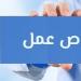 فرص عمل.. الإعلان عن 3209 وظيفة بالمحافظات - هرم مصر