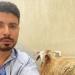 «هيموتوك يا غبي اهرب».. محمد أنور يحتفل بعيد الأضحى على طريقته - هرم مصر