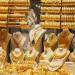أول أيام عيد الأضحى.. سعر الذهب في منتصف تعاملات الجمعة 6 يونيو 2025 - هرم مصر