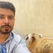 بطريقة كوميدية.. محمد أنور يهنئ جمهوره بالعيد - هرم مصر