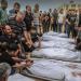 4 شهداء فلسطينيين في قصف إسرائيلي شرق خان يونس - هرم مصر