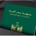 خطوات استخراج «جواز سفر» في 2025 والأوراق المطلوبة - هرم مصر