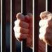 المؤبد للمتهم بإنهاء حياة زوجته خنقا لشكه في سلوكها بالقليوبية - هرم مصر
