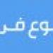 تنظيم اليوم الحقلي للتوعية بمكافحة سوسة النخيل الحمراء بالإسماعيلية - هرم مصر