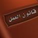 كيف تعامل القانون مع تشغيل المصريين دون ترخيص| تفاصيل - هرم مصر