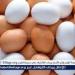 أسعار طبق البيض اليوم الخميس 19-6-2025 في قنا - هرم مصر