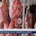 أسعار اللحوم الجملي والضاني اليوم الاثنين 23-6-2025 في الأسواق ومحال الجزارة بقنا - هرم مصر