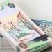 سعر الدرهم الإماراتي مقابل الجنيه المصري اليوم الجمعة 27 يونيو 2025 - هرم مصر
