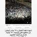 شهداء لقمة العيش.. تامر حسني ينعى ضحايا حادث المنوفية بكلمات مؤثرة - هرم مصر