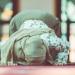 صلاة الغفلة.. تعرف على حكمها ووقتها وسبب تسميتها بذلك وكيف تؤدى - هرم مصر