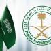 ارتفاع أصول صندوق الاستثمارات العامة 18% بنهاية 2024 - هرم مصر