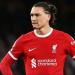 ليفربول يُعرقل مفاوضات نابولي مع نونيز #ليفربول #نونيز #نابولي - هرم مصر