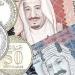 سعر الريال السعودي مقابل الجنيه المصري بالبنوك اليوم 4-7-2035 - هرم مصر