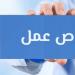 مرتبات تصل لـ10 آلاف جنيه.. وزارة العمل توفر فرصا للتوظيف في محطات المترو - هرم مصر