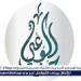 حزب الوعي: نتحفظ على ارتفاع قيمة التأمين الانتخابي - هرم مصر