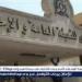 التعبئة والاحصاء: مصر بذلت جهودا كبيرة للحد من الزيادة السكانية - هرم مصر
