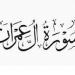 من سورة آل عمران.. دليل قرآني على عالمية الإسلام #الرسالة_الخاتمة #عالمية_الإسلام #النبي_محمد #علي_جمعة #ميثاق_الأنبياء #سورة_آل_عمران #القرآن_الكريم - هرم مصر