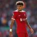 ليفربول يتمسك بـ لويس دياز وبرفض عرض برشلونة  - هرم مصر
