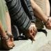 سقوط عصابة سرقت نصف كيلو ذهب من شقة بالتبين - هرم مصر