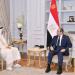 الرئيس السيسي ورئيس وزراء قطر يؤكدان رفض إعادة احتلال غزة ويدعوان لوقف فوري لإطلاق النار - هرم مصر